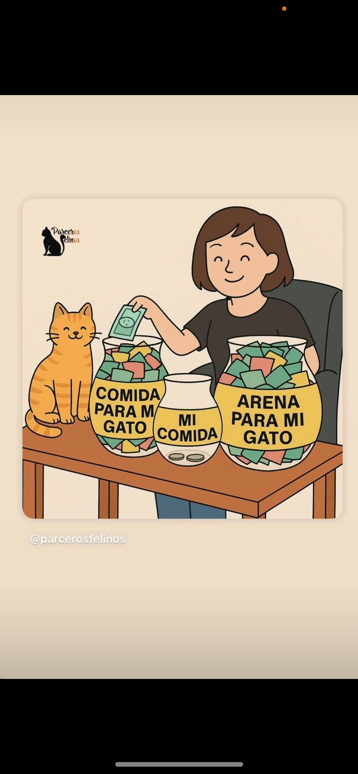 Volunteer caring for a community cat